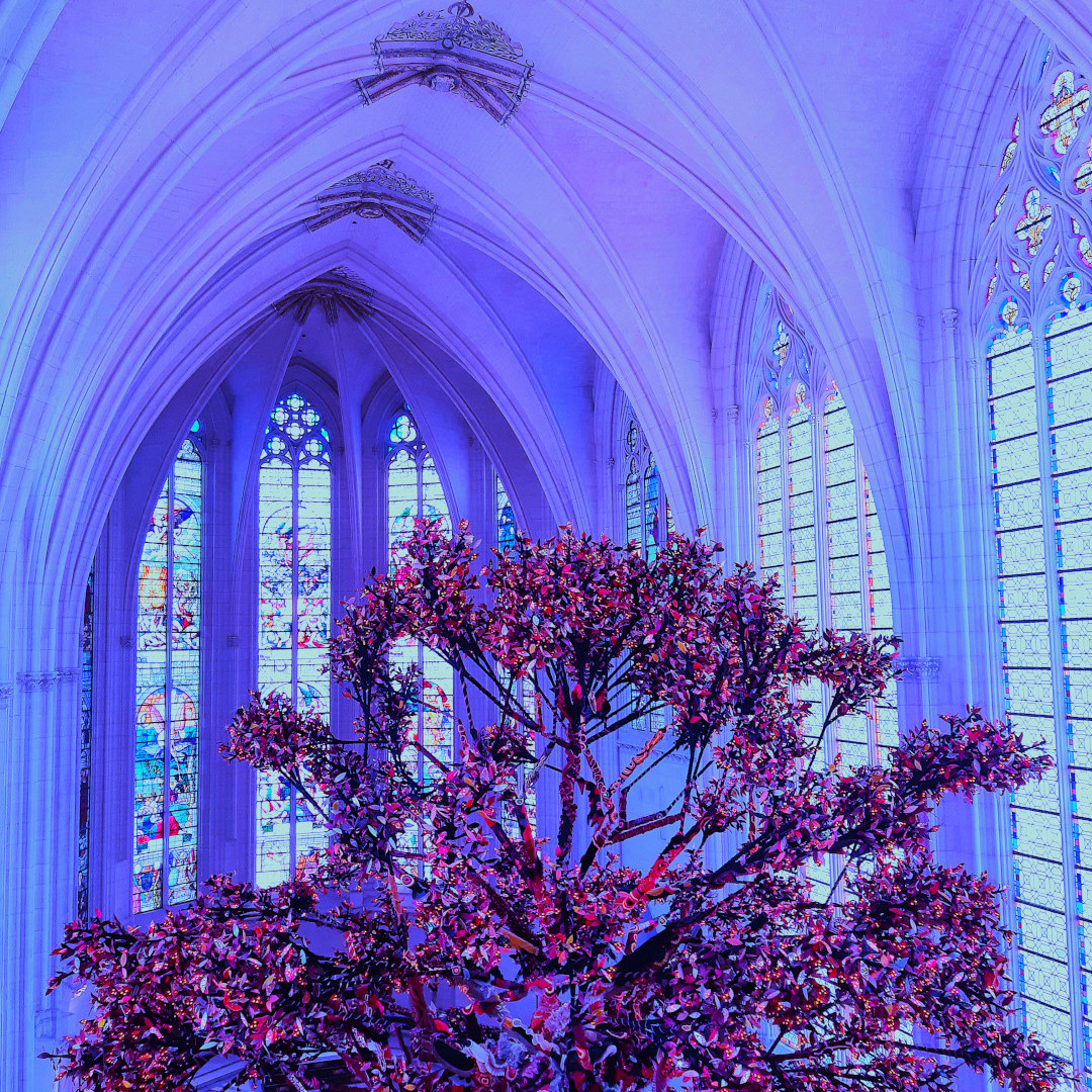 Les Roses du Paradis